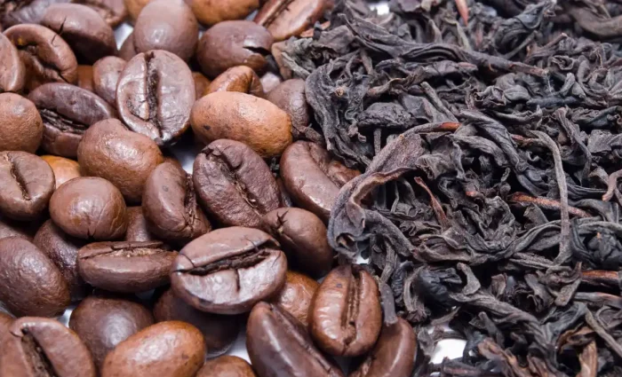 5 Reasons Why Preston’s Coffeehouse Stands Out In The Coffee Franchise Market