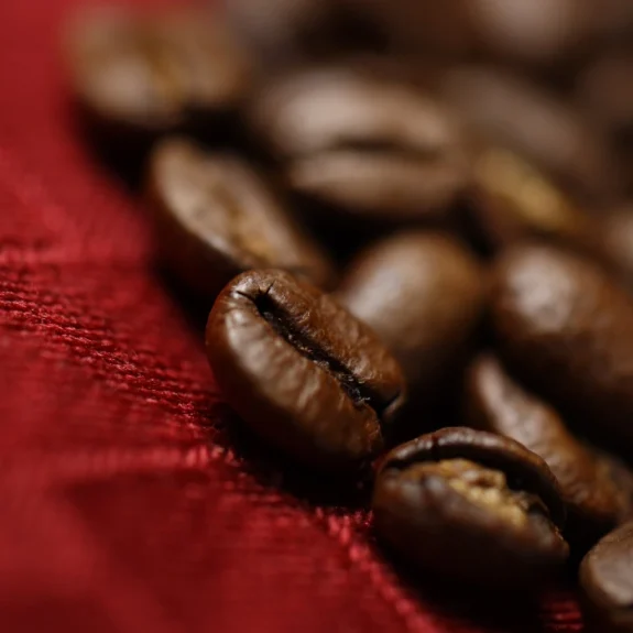 How a Premium Coffee Experience Gives Preston’s Franchise a Competitive Edge